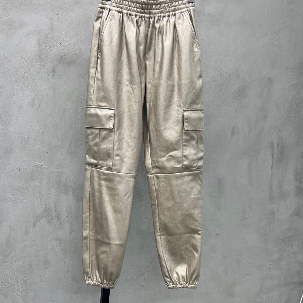 Generation Love Metallic Vegan Leather Cargo Joggers
